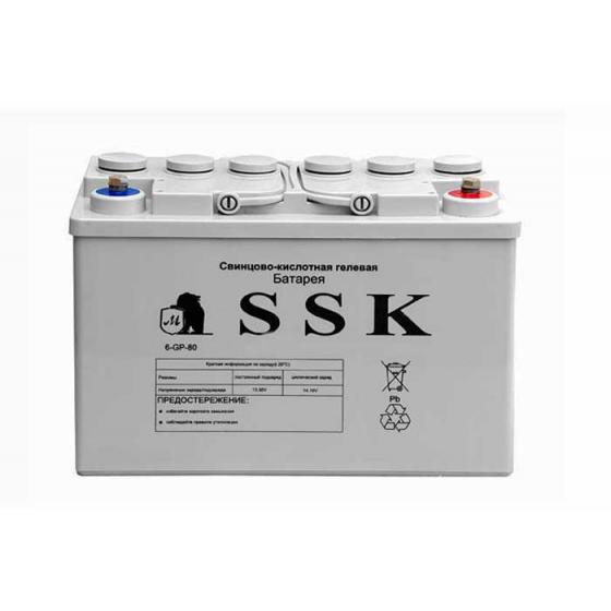 Аккумулятор 6-GP-80 фото 1