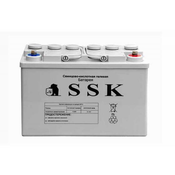 Аккумулятор 6-GP-85 фото 1