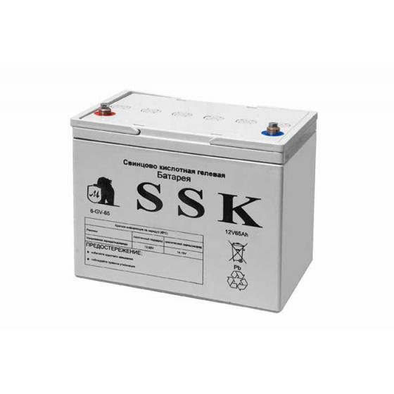 Аккумулятор 6-GV-50 фото 1