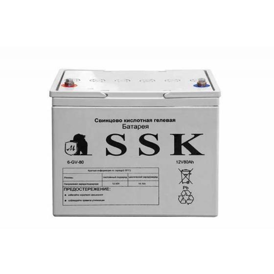 Аккумулятор 6-GV-80 фото 1